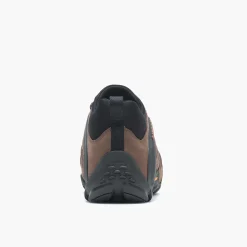 Homme Chameleon 8 Stretch - Voir Tout